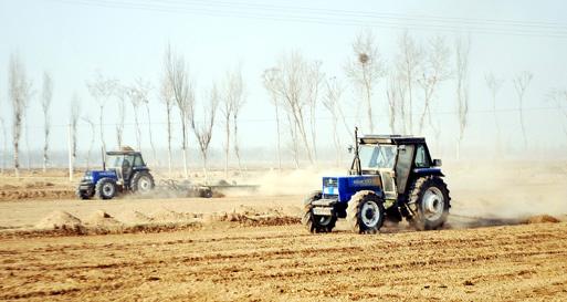 农业部：今年将力争稻谷、小麦面积稳定在8亿亩.jpg