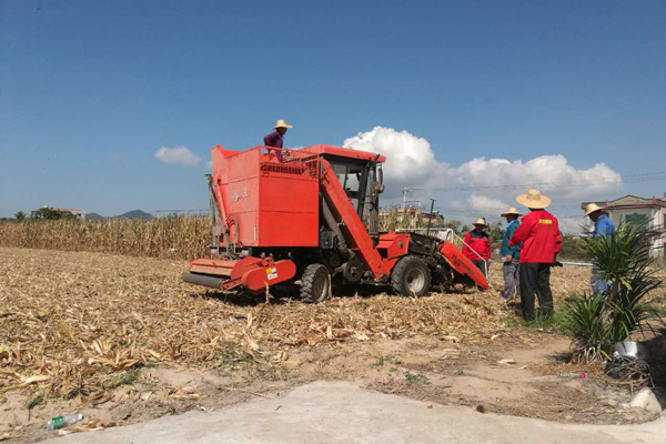 “常林·谷丰”玉米收获机产品赴海南成功实验业峻鸿绩3.jpg