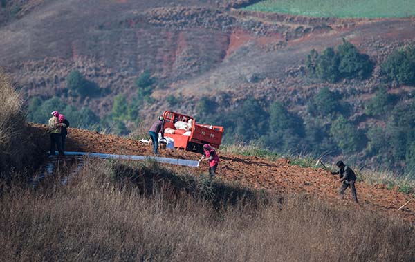 2月18日，云南省昆明市东川区红土地镇的农民在地里劳作。.jpg
