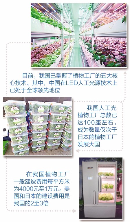 北京农众物联的自然光植物工厂车间。.jpg