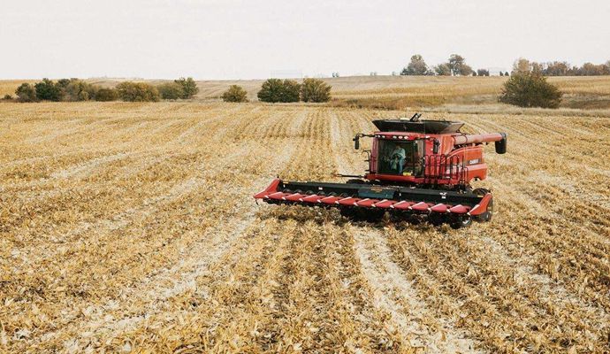 美国农业部：2017年美国大豆播种面积将达到8800万英亩.jpg