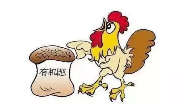 有机肥行业的风口要来了？看完这11个字你就直到答案了