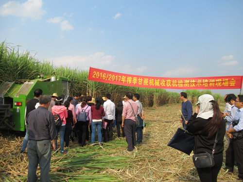 广西自治区甘蔗机械化收获技术研讨暨甘蔗收获机械试验及检测技术培训会在扶绥县召开2.jpg