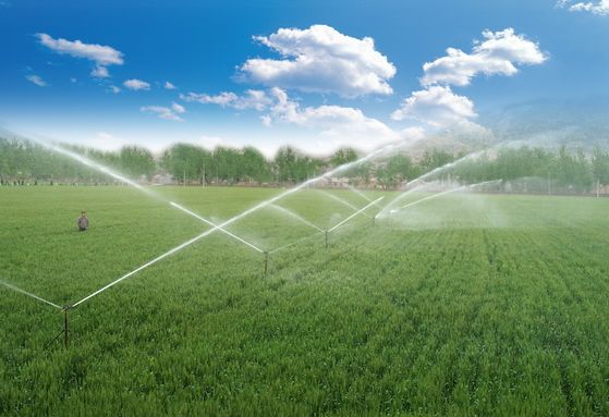 农业用水需大幅降低 节水灌溉要有模式才能盈利.jpg