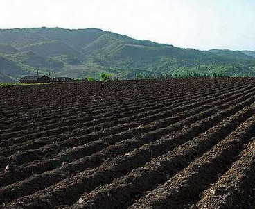 良田保护与污地修复齐发力 泰州启动土壤污染防治行动