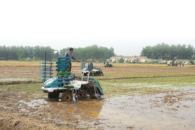湖南：充分发挥农机在农业供给侧结构性改革中的骨干支撑作用.jpg