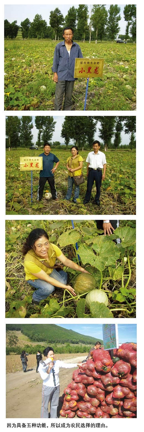 小黑龙传说