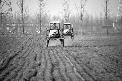 合作社五台大型农机设备每天不停地为当地小麦喷施药物。.jpg