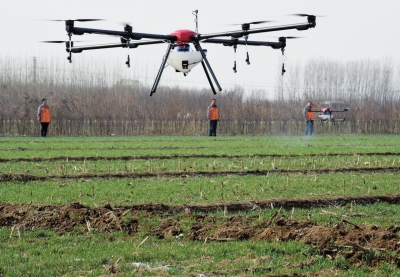 无人机在泊头市付村进行小麦喷药作业.jpg