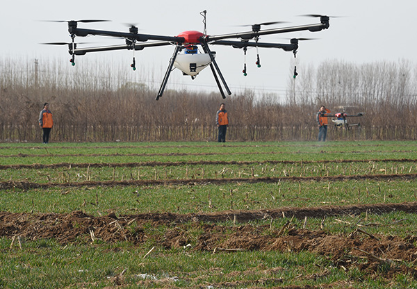 3月14日，无人机在泊头市付村进行小麦喷药作业。.jpg