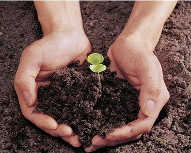 潍坊将用3年时间搭建土壤熏蒸修复技术服务平台