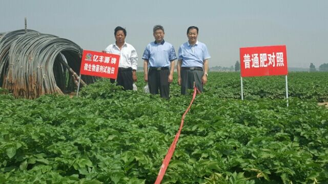  专访中国商品有机肥之父、山东亿丰源生物科技股份有限公司董事长朱述尧