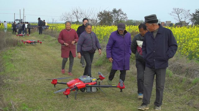 无人机巡航油菜花田 黑科技进农村1.jpg