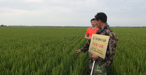 土壤与农民渴望生态肥