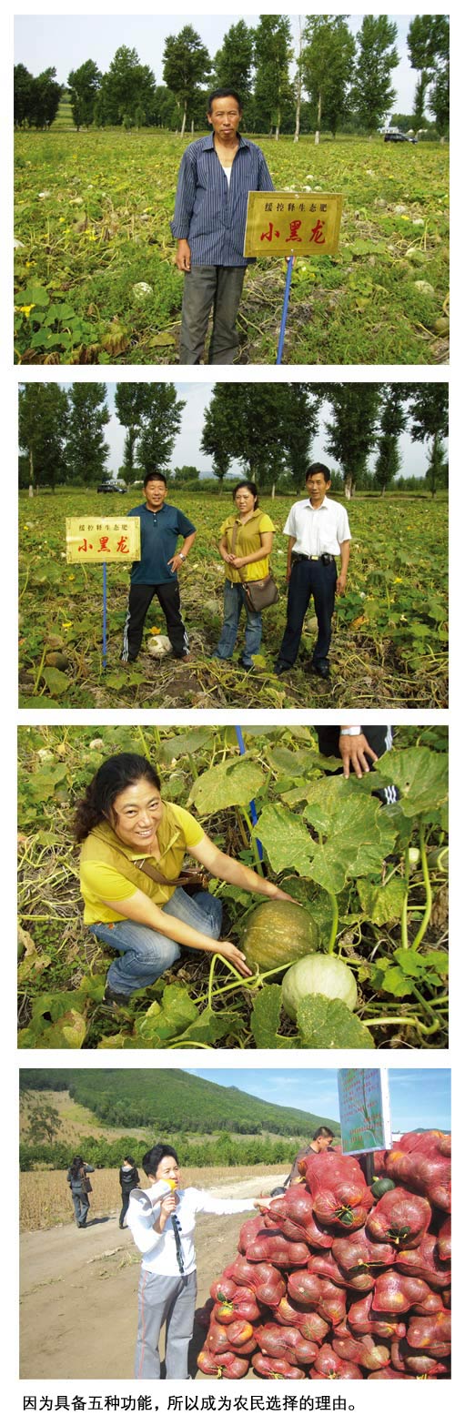 土壤与农民渴望生态肥