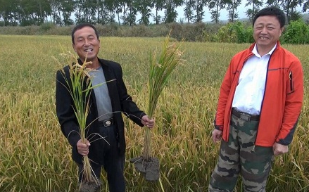 土壤与农民渴望生态肥