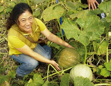土壤与农民渴望生态肥