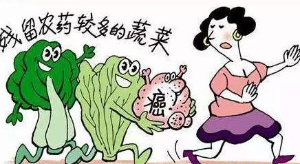 神奇植物：能“吃掉”土壤中100多种农药残留！大家都当个宝！