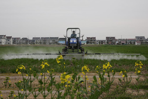 3月19日，在江苏省海安县，农民驾驶农机在麦田里忙碌。.jpg