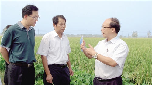 郑永权（右）现场讲解农药高效安全科学施用技术。.jpg