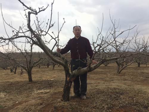 成都华宏生物科技有限公司水肥一体化种植方案挺进盐源