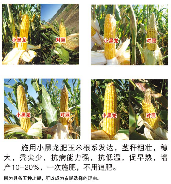 缓控生态肥与“老三样”化肥的十大区别