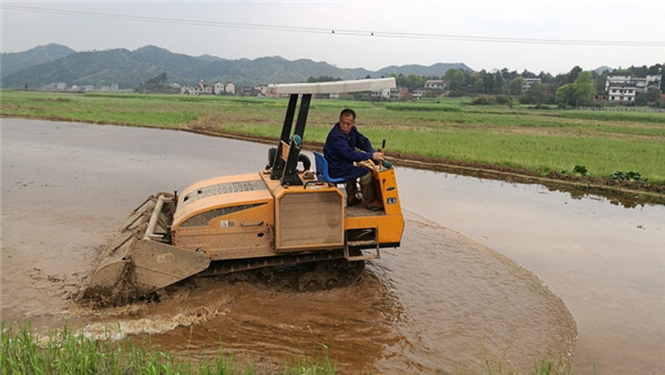 湖南省衡阳县三湖镇联洋村60岁农民王爱春，开着履带式旋耕机“打田”.jpg