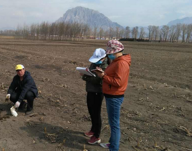 吉林省抚松县：有机肥对土壤改良的作用