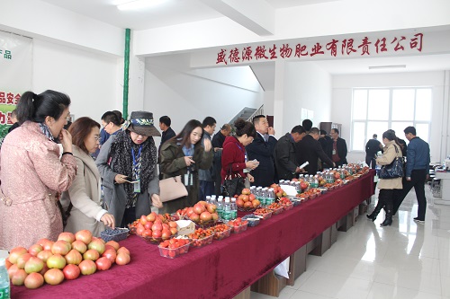 农业专家齐聚辽宁东港  盛金源牵头促进微生物肥行业发展