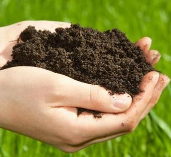 蚯蚓零化肥高效有机循环农业改善盐碱土壤的肥力与结构