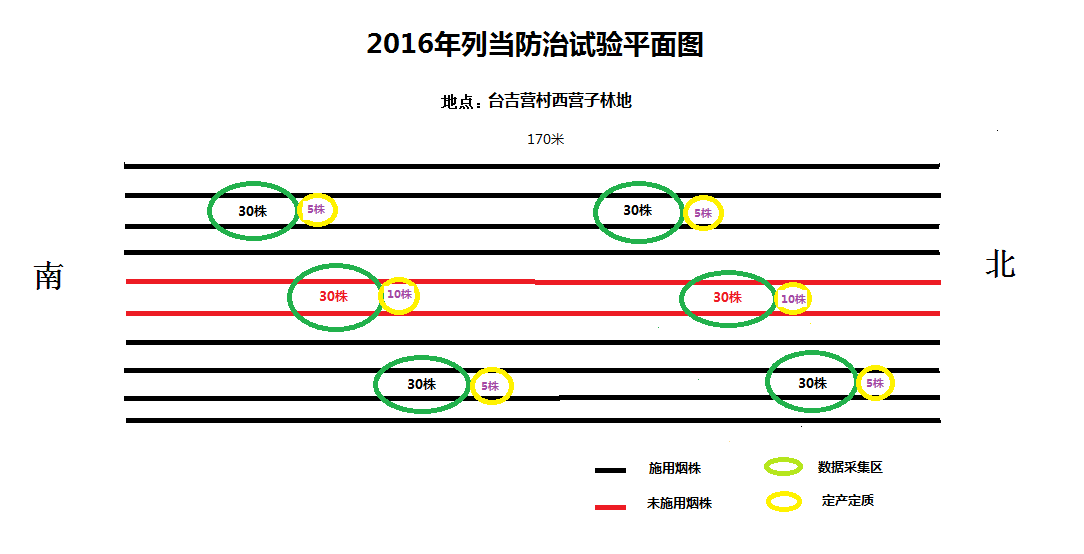 2016年台吉营烟站列当防治试验总结