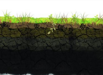 土壤污染修复的“标尺”在哪里
