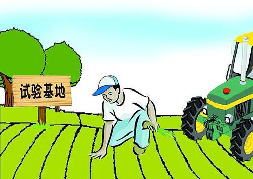 新型肥料真的要反客为主专家还需要一定时间