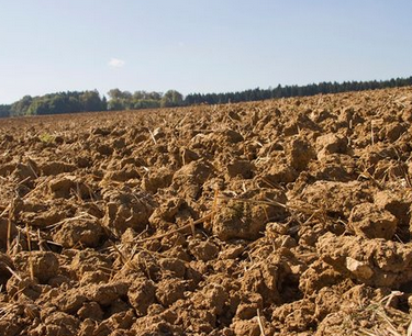 腐植酸是如何修复土壤的？