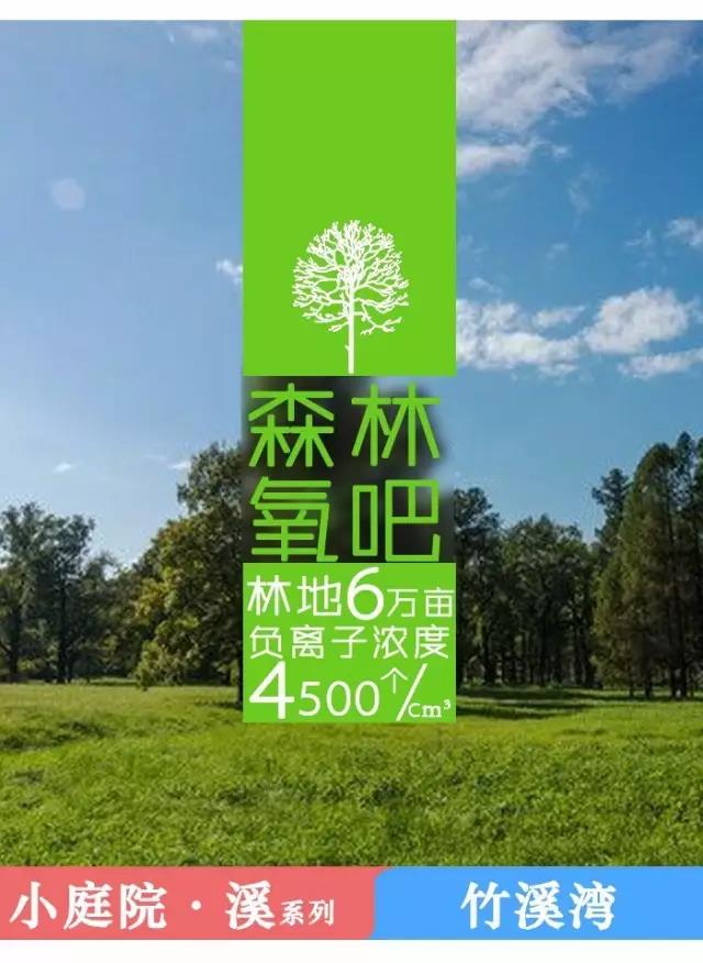 【小庭院·溪——竹溪湾】开始认购，前2名认购客户送10万宜家家居现金券