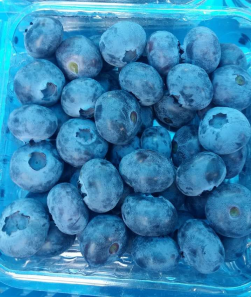 碳氢蓝莓的用法用量和注意事项