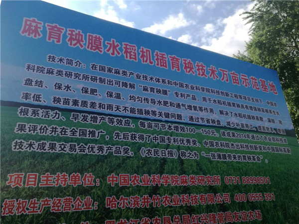 麻育秧膜技术将在黑龙江大面积推广2.jpg