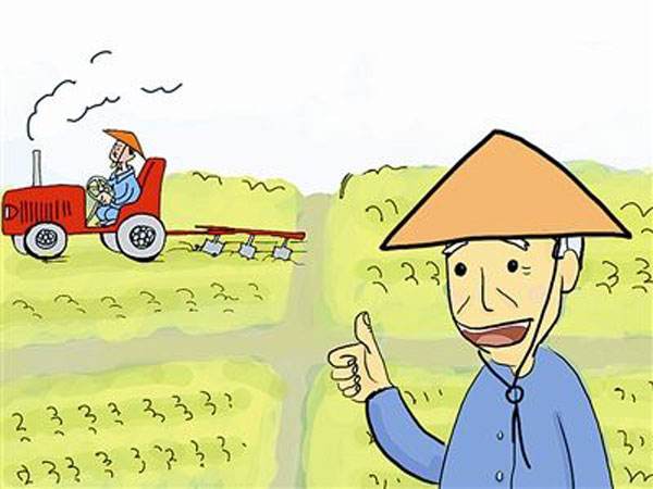 2016中国国土资源公报发布 年内净减少耕地面积4.35万公顷.jpg