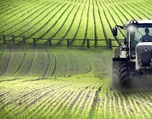 科学种植成农业焦点，中央财政安排25.6亿元支持耕地轮作