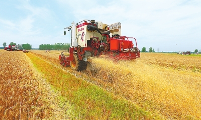 今年麦收开始啦！河南省已收获188万亩.jpg