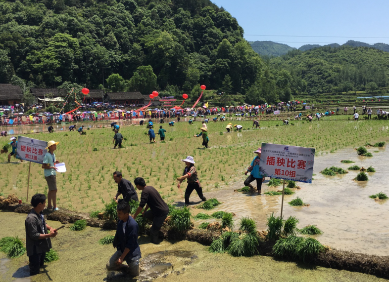 湘西第二届农耕民俗文化节  跨界融合的全民盛会