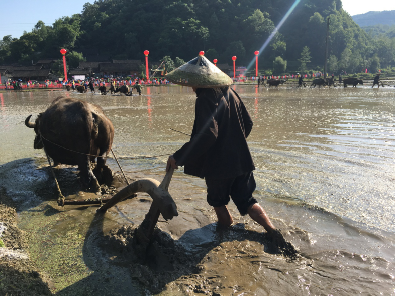 湘西第二届农耕民俗文化节  跨界融合的全民盛会