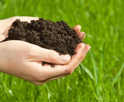 专家学者在沪共话“土壤生态环境评价与修复技术”