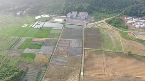 九龙镇白屋村土地整理后的航拍图
