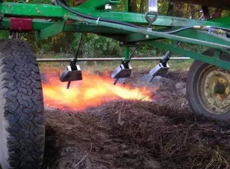 外国农民用火焰除草 还能为土壤杀菌灭毒