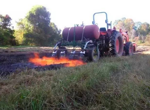 外国农民用火焰除草 还能为土壤杀菌灭毒