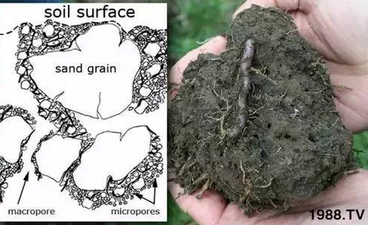 施多少有机肥能提高土壤有机质1%？看看专家怎么说！