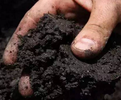 施多少有机肥能提高土壤有机质1%？看看专家怎么说！