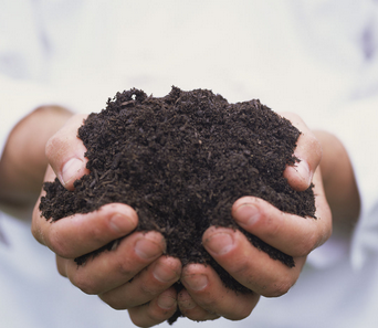 生物有机肥对土壤的5大作用！