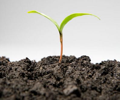 微生物肥料修复土壤的技术创新